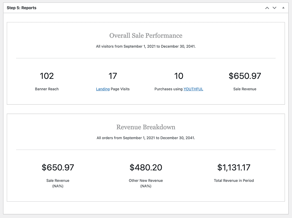 Screenshot of the Sitewide Sale reports